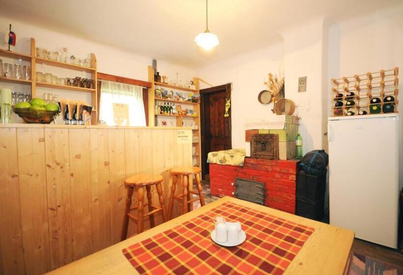 펜션 Penzion U Hološov