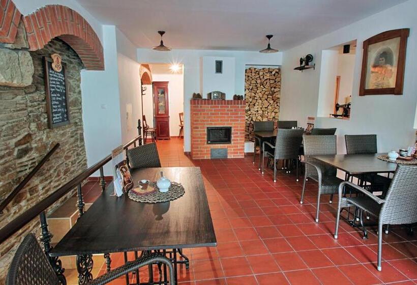 ペンション Penzion U Sněhulaka