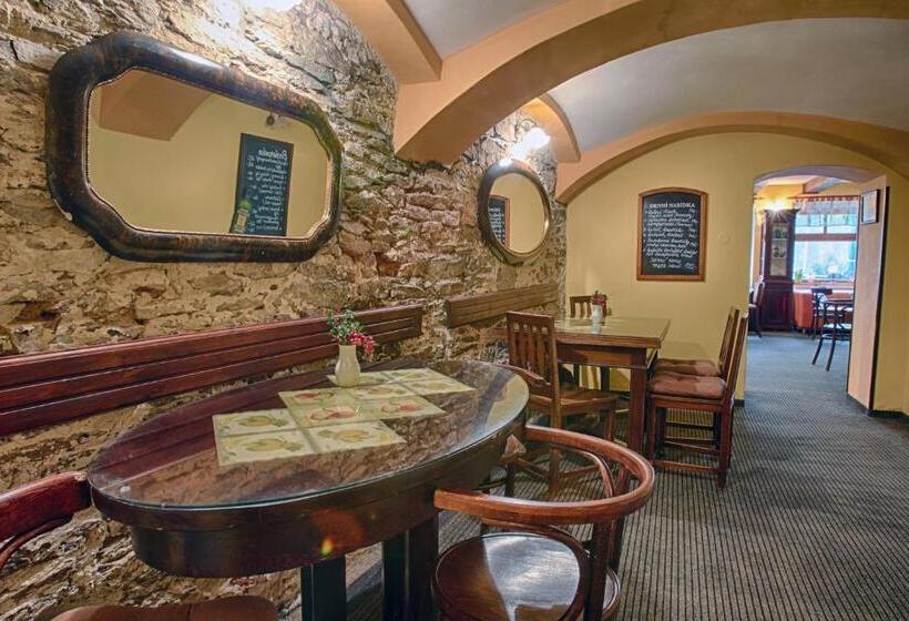 ペンション Penzion U Sněhulaka