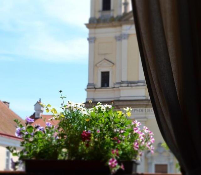 פנסיון Penzion Valtice