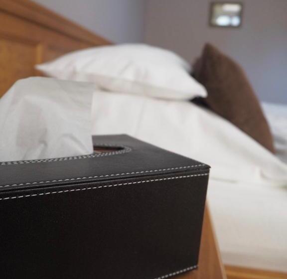 פנסיון Penzion Valtice