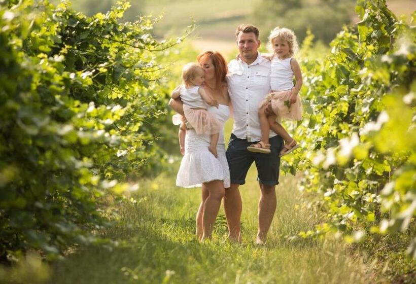 פנסיון Penzion Valtice