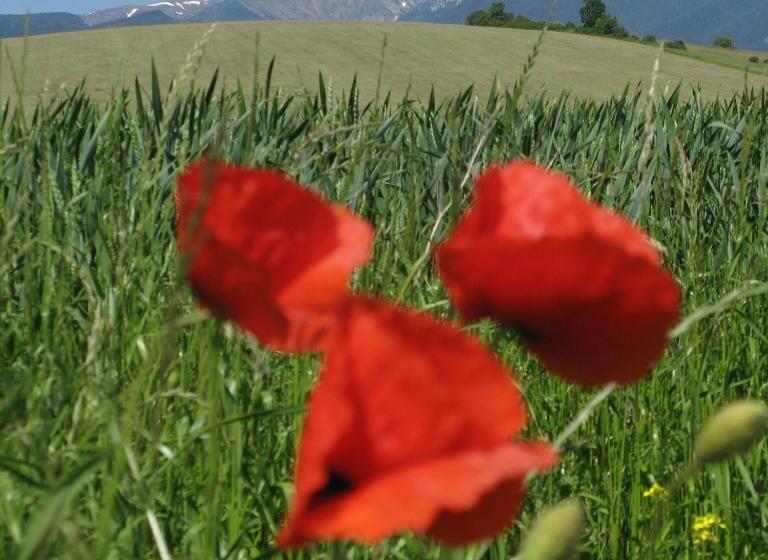 Пансион Penzion Za Vodou