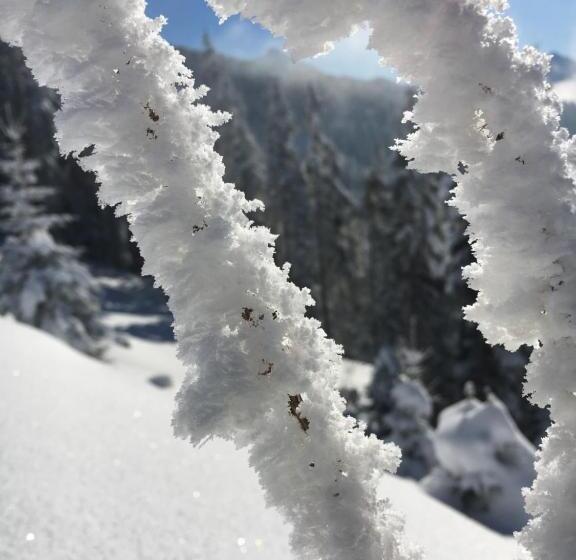Пансион Penzion Za Vodou