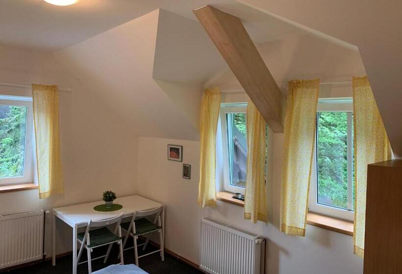 פנסיון Penzion Zelené údolí