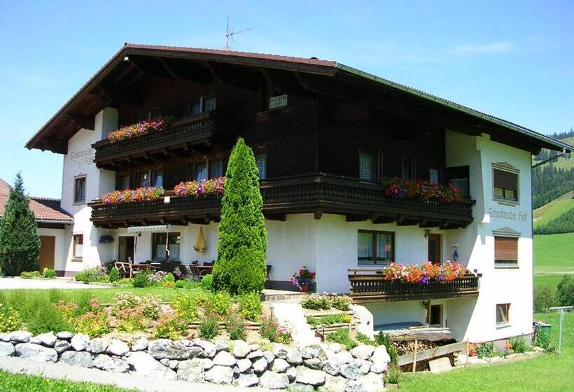 ペンション Schattwalder Hof