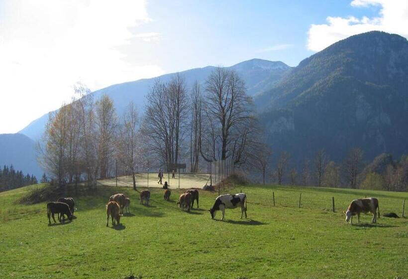پانسیون Turistična Kmetija Zgornji Zavratnik