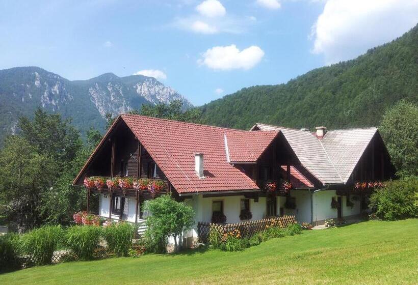 پانسیون Turistična Kmetija Zgornji Zavratnik