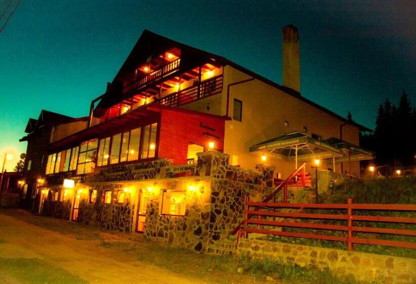 膳宿费 Vila Romana