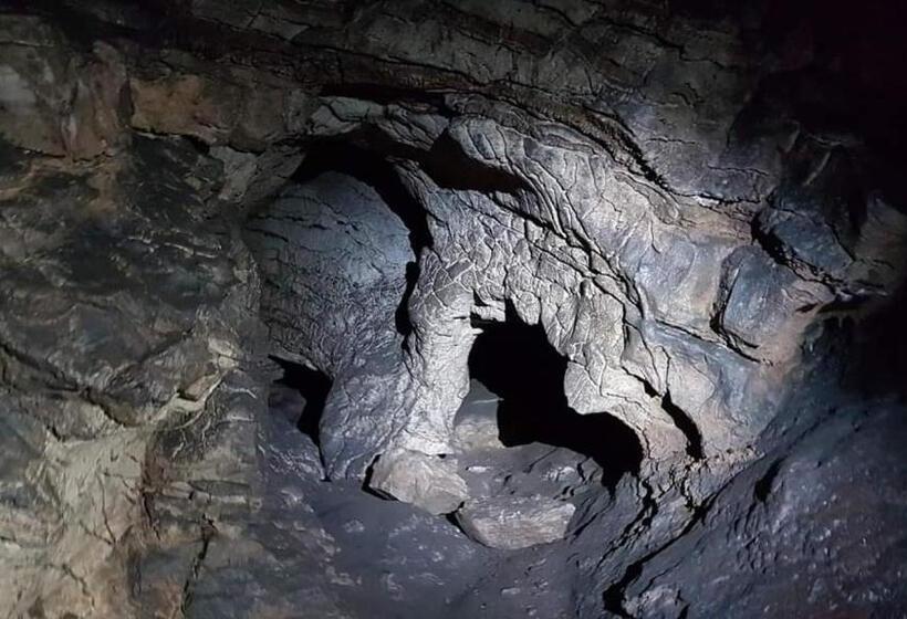 Pensiunea Casa Dănuț