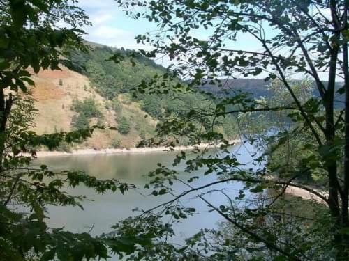 Pensiunea Casa Dănuț