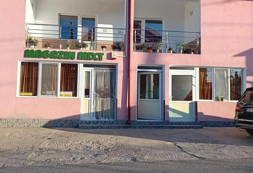 Pensiunea Casa Dănuț