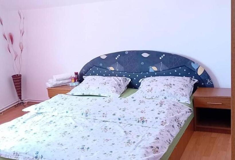 Pensiunea Casa Dănuț