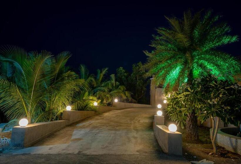 The Gaj Kesri Gir Best Wildlife Resort In Gir