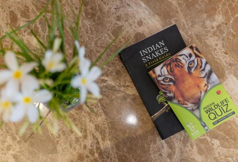 The Gaj Kesri Gir Best Wildlife Resort In Gir