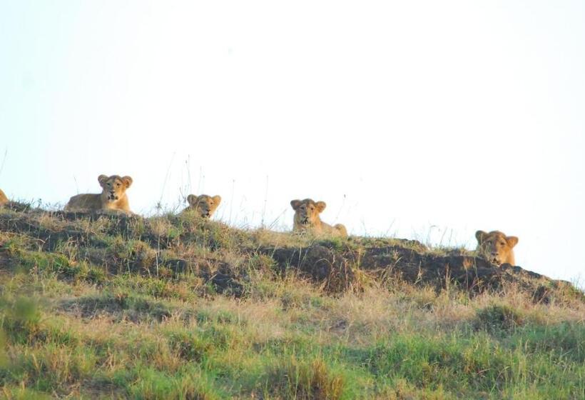 The Gaj Kesri Gir Best Wildlife Resort In Gir