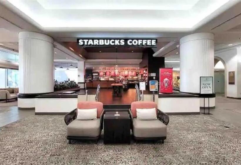 הוסטל Amazing Hotel Room With Ocean Views 1419