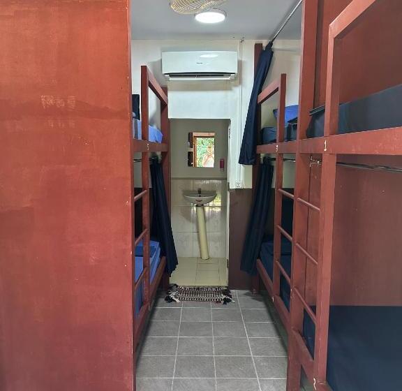 הוסטל Nest Jungle