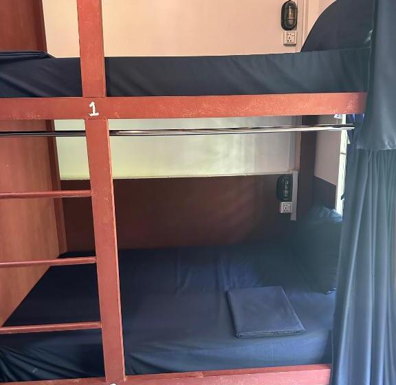 הוסטל Nest Jungle