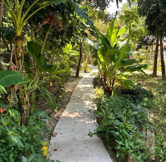 הוסטל Nest Jungle