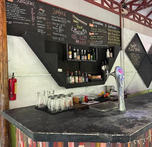 הוסטל Nest Jungle