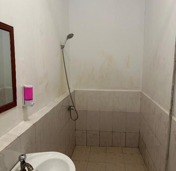 הוסטל Nest Jungle