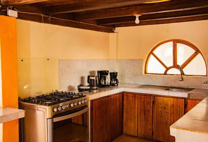 هاستل Rana De Cristal