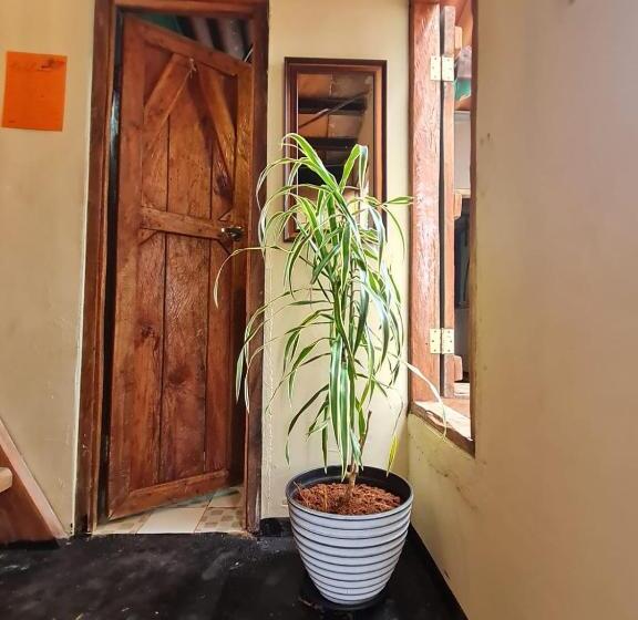 住宿加早餐  Sasy Dorm