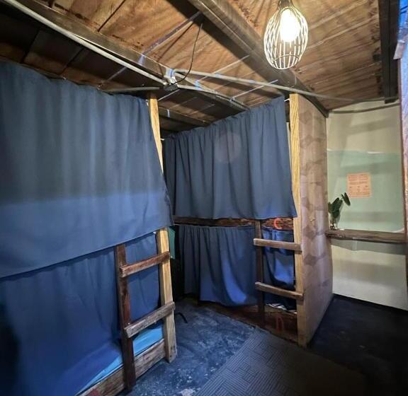 住宿加早餐  Sasy Dorm