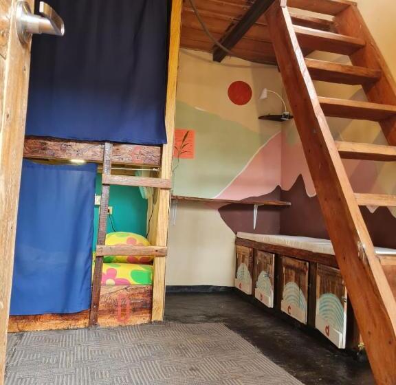 住宿加早餐  Sasy Dorm