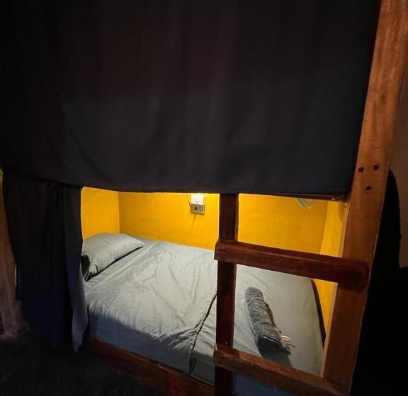 住宿加早餐  Sasy Dorm