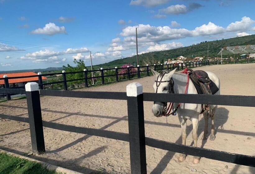 Gravatá Monte Castelo