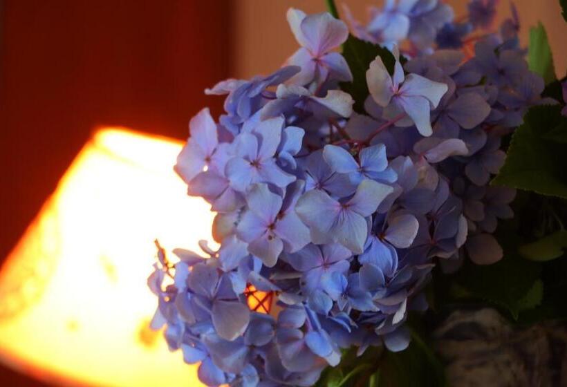 酒店 Auberge Koyama