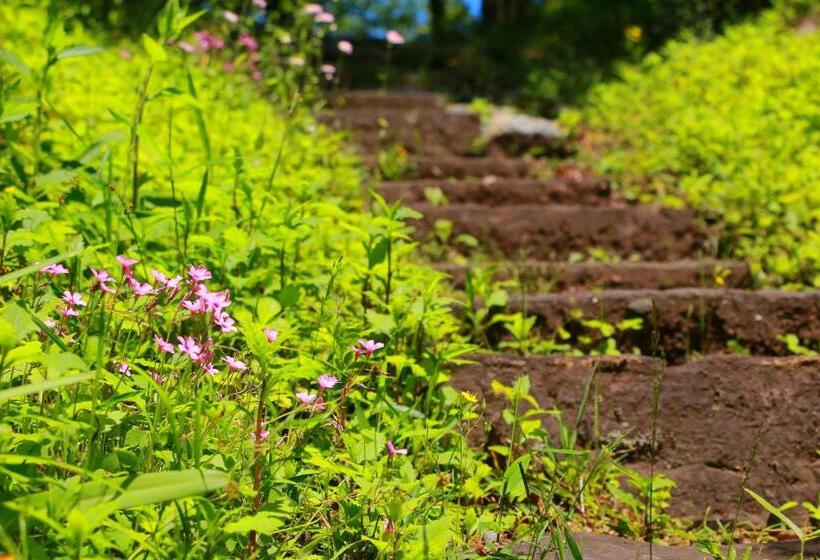 酒店 Auberge Koyama