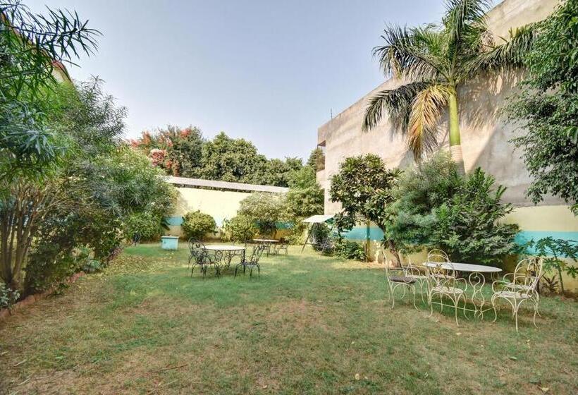 Отель Tiger View