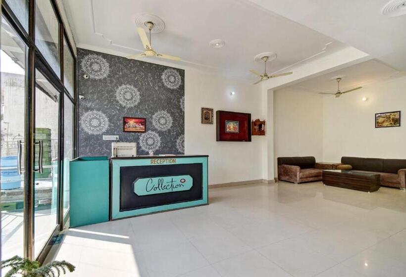 Отель Tiger View