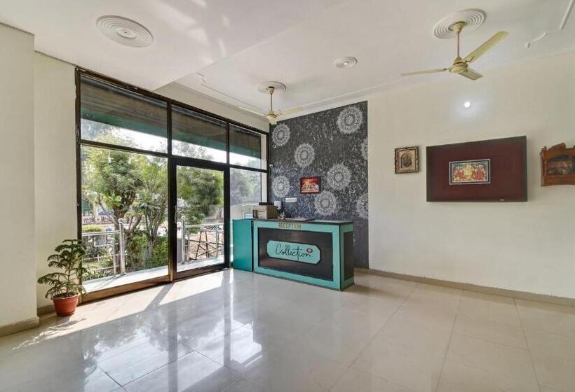 Отель Tiger View