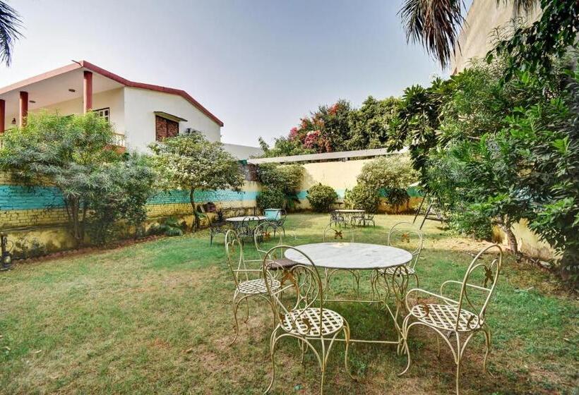 Отель Tiger View