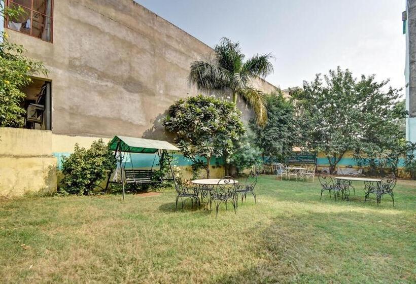 Отель Tiger View