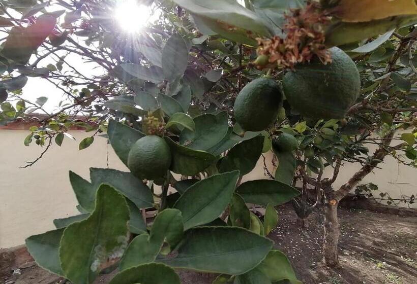 בית מלון כפרי Karibu Hostel Pub