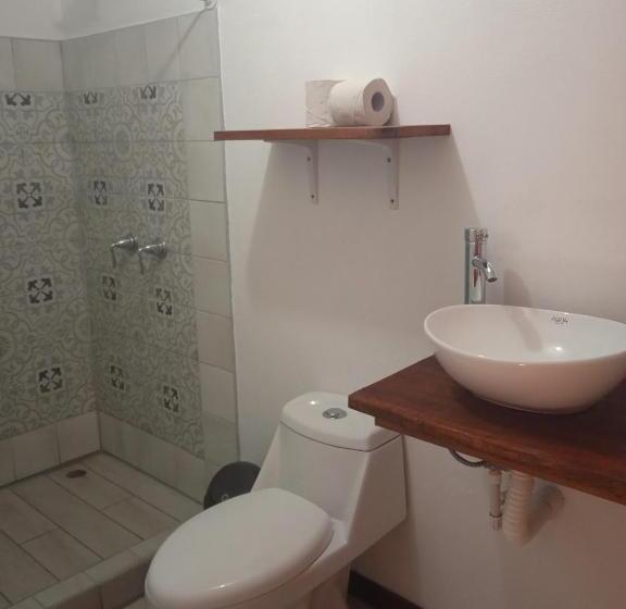 酒店 La Casona Eco Lodge Tortuguero