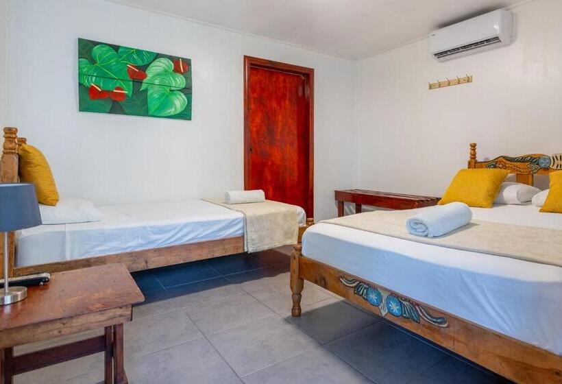 酒店 La Casona Eco Lodge Tortuguero