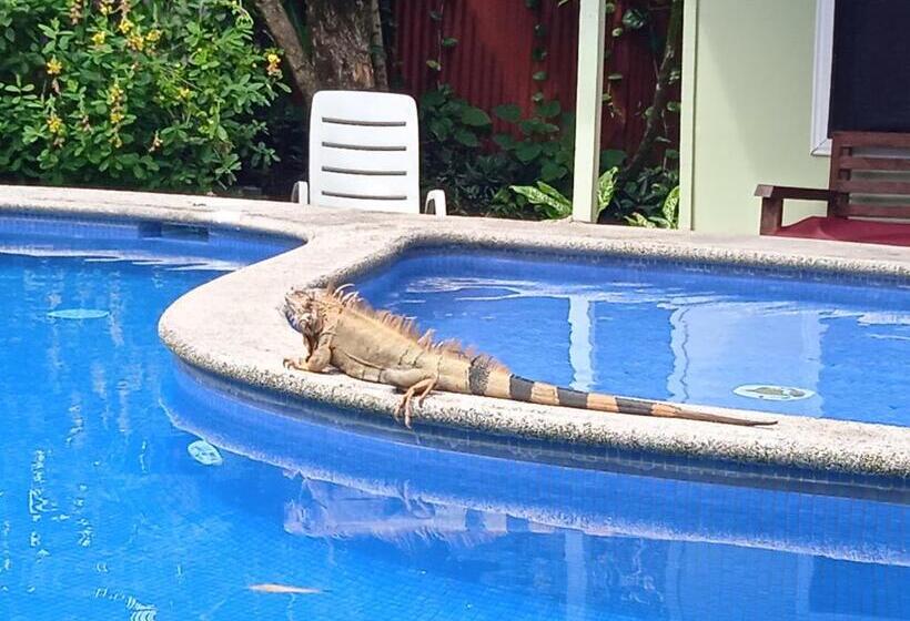 酒店 La Casona Eco Lodge Tortuguero