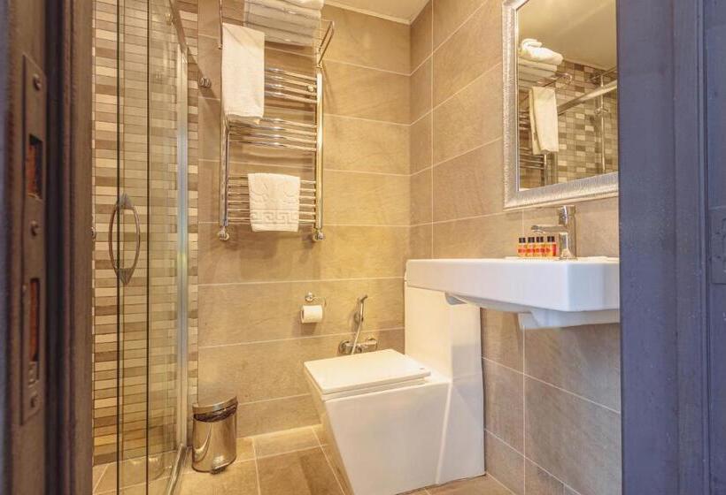 בית מלון כפרי Maestro