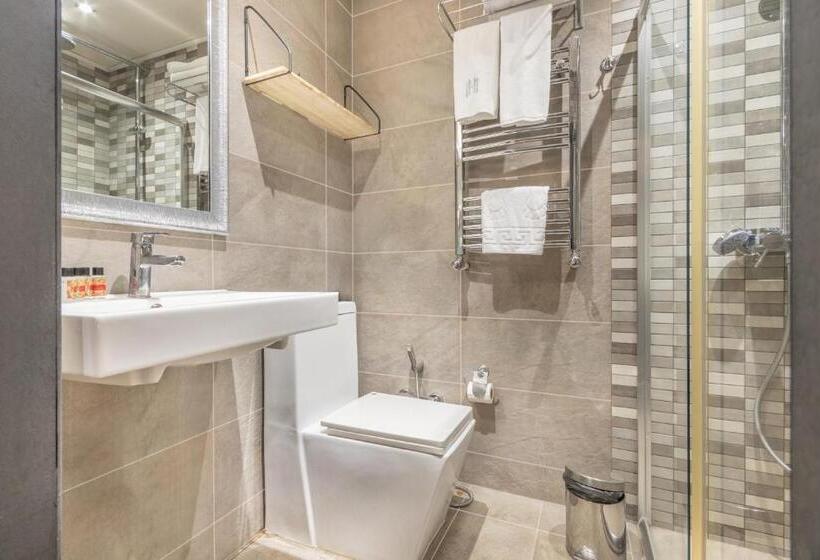 בית מלון כפרי Maestro