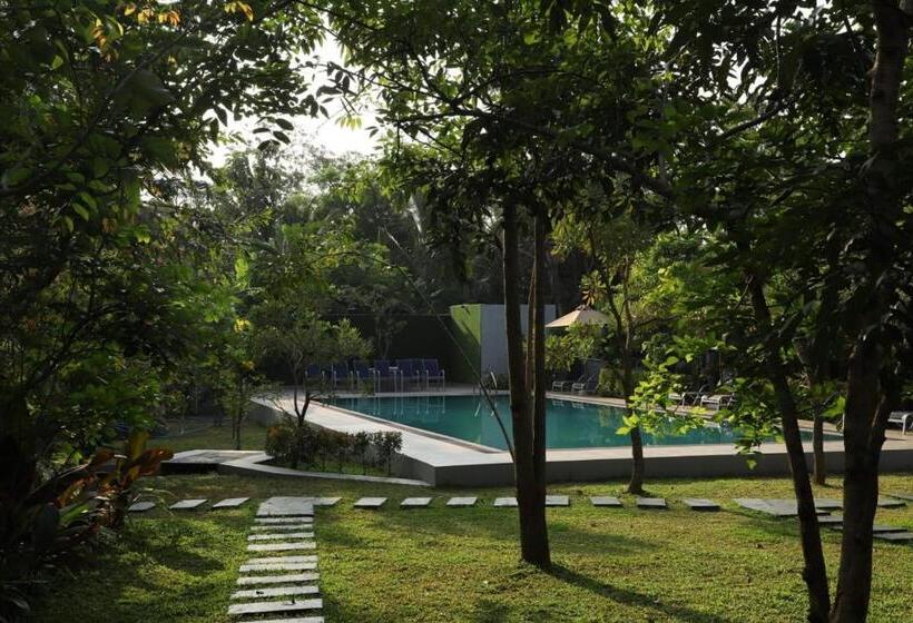 בית מלון כפרי Ro Kalawewa