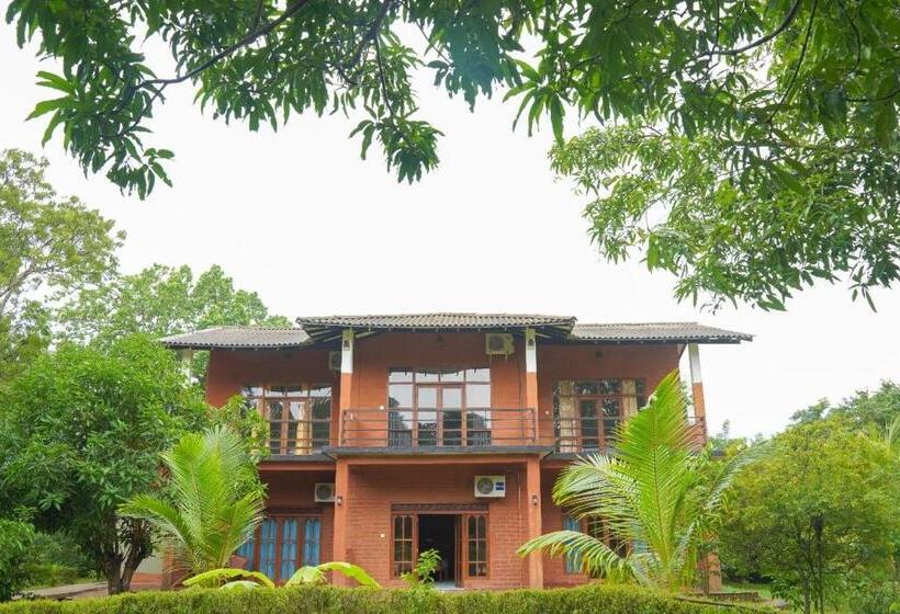 ホテル Sigiriya Cottage