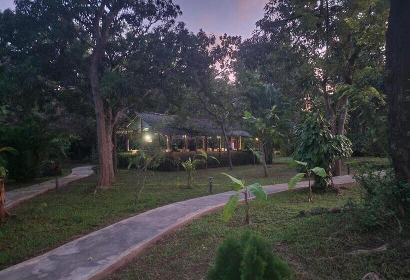 ホテル Sigiriya Cottage