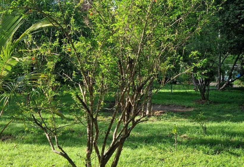 ホテル Sigiriya Cottage