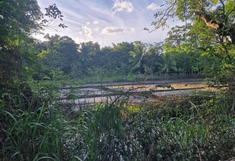 ホテル Sigiriya Cottage